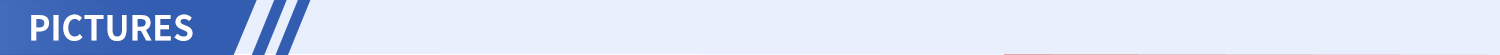 Pictures
