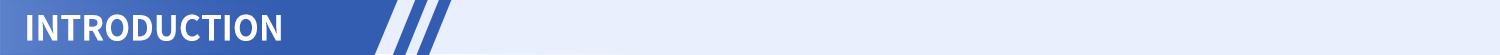 Introduction1