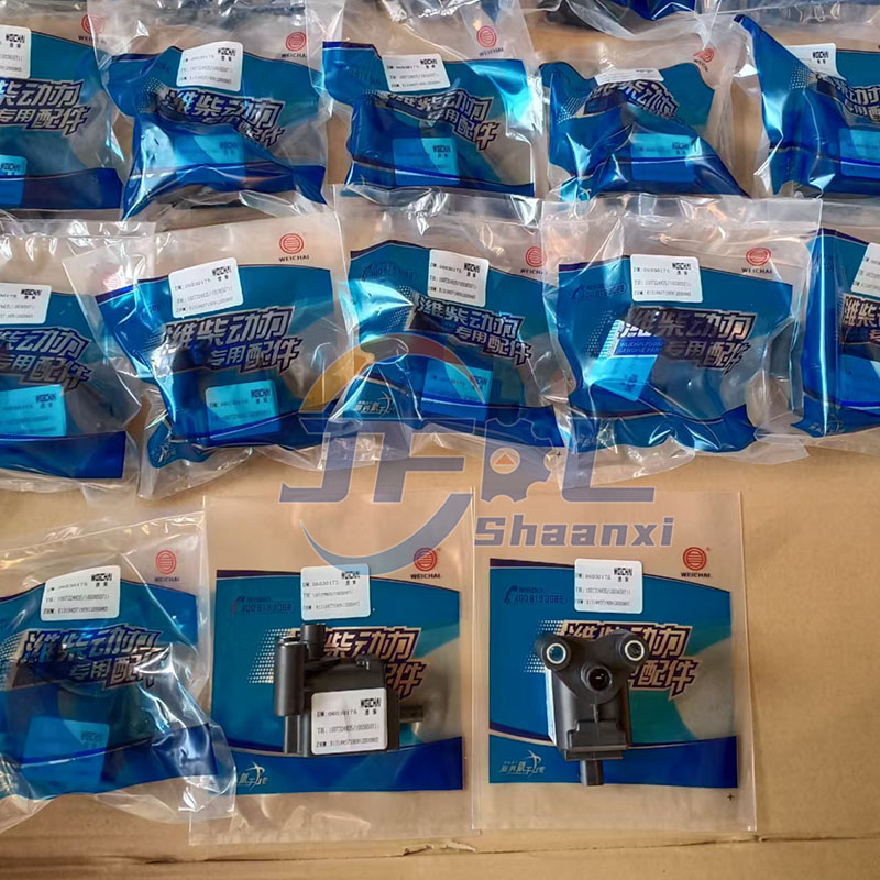 点火线圈 1007324835