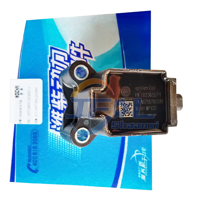 Hot Selling Original Weichai Engine Spare Parts Ignition Coil 1007324835 1003650711 for Heavy Duty Trucks