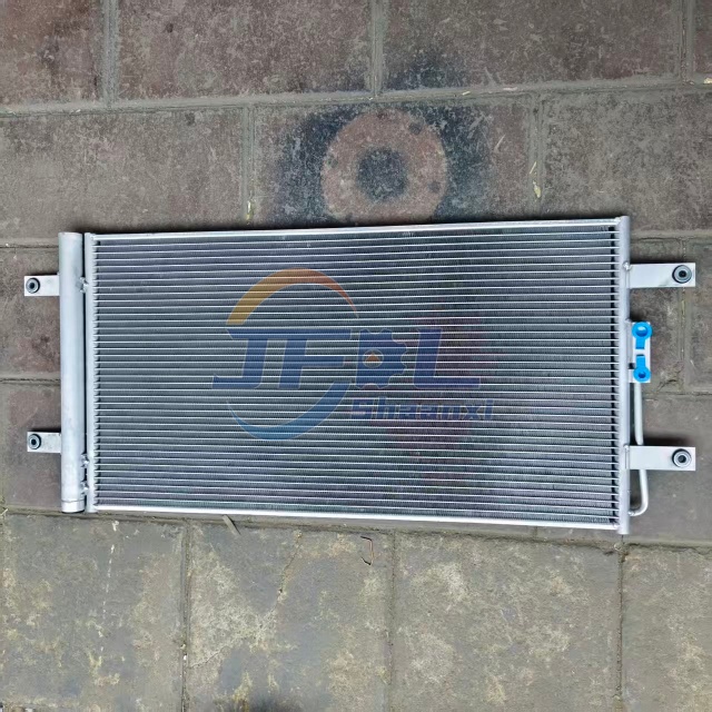 第65项：WG1671820069 冷凝器总成 数量3 (4)