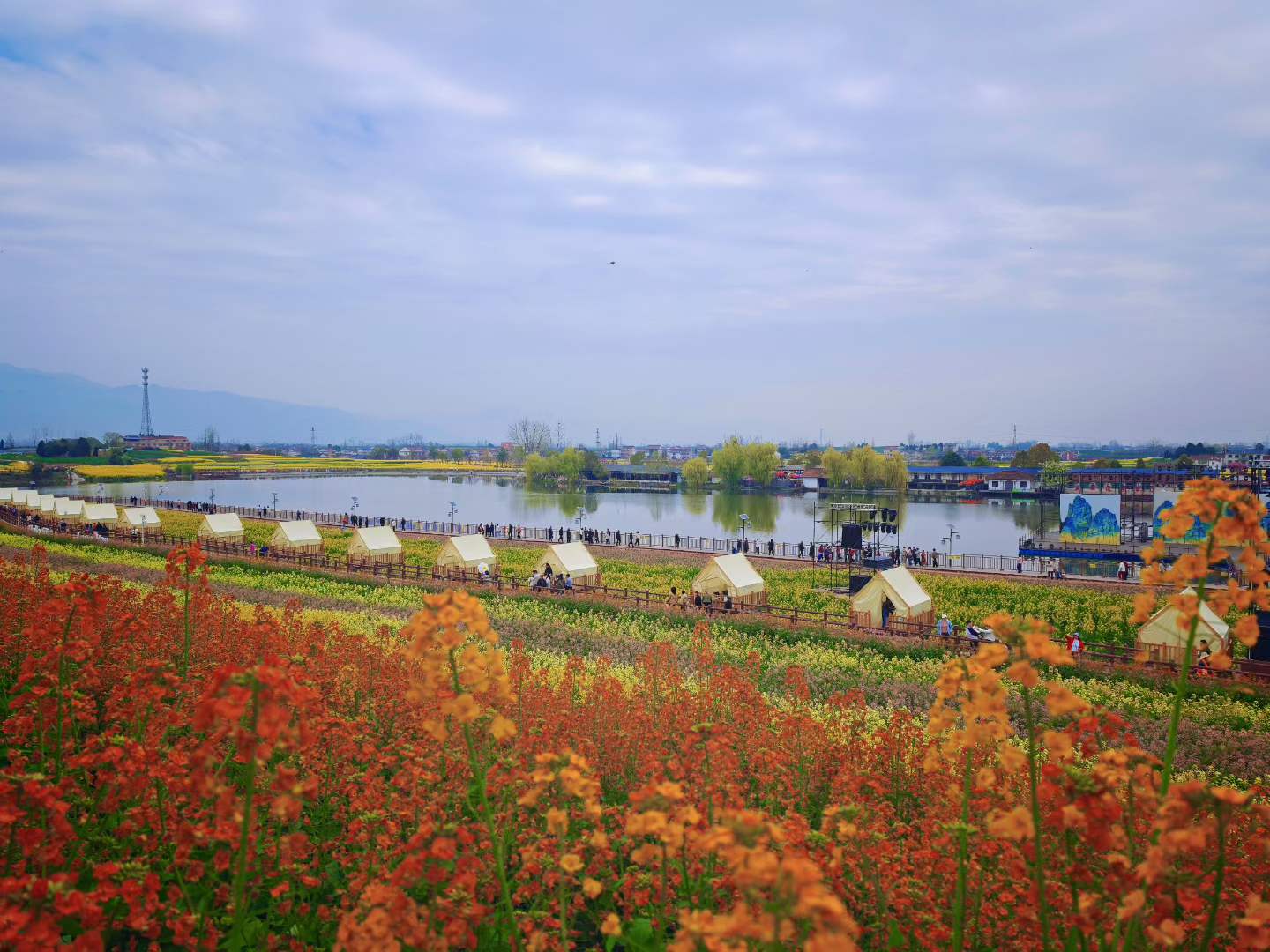 微信图片_2026-03-23_091335_536