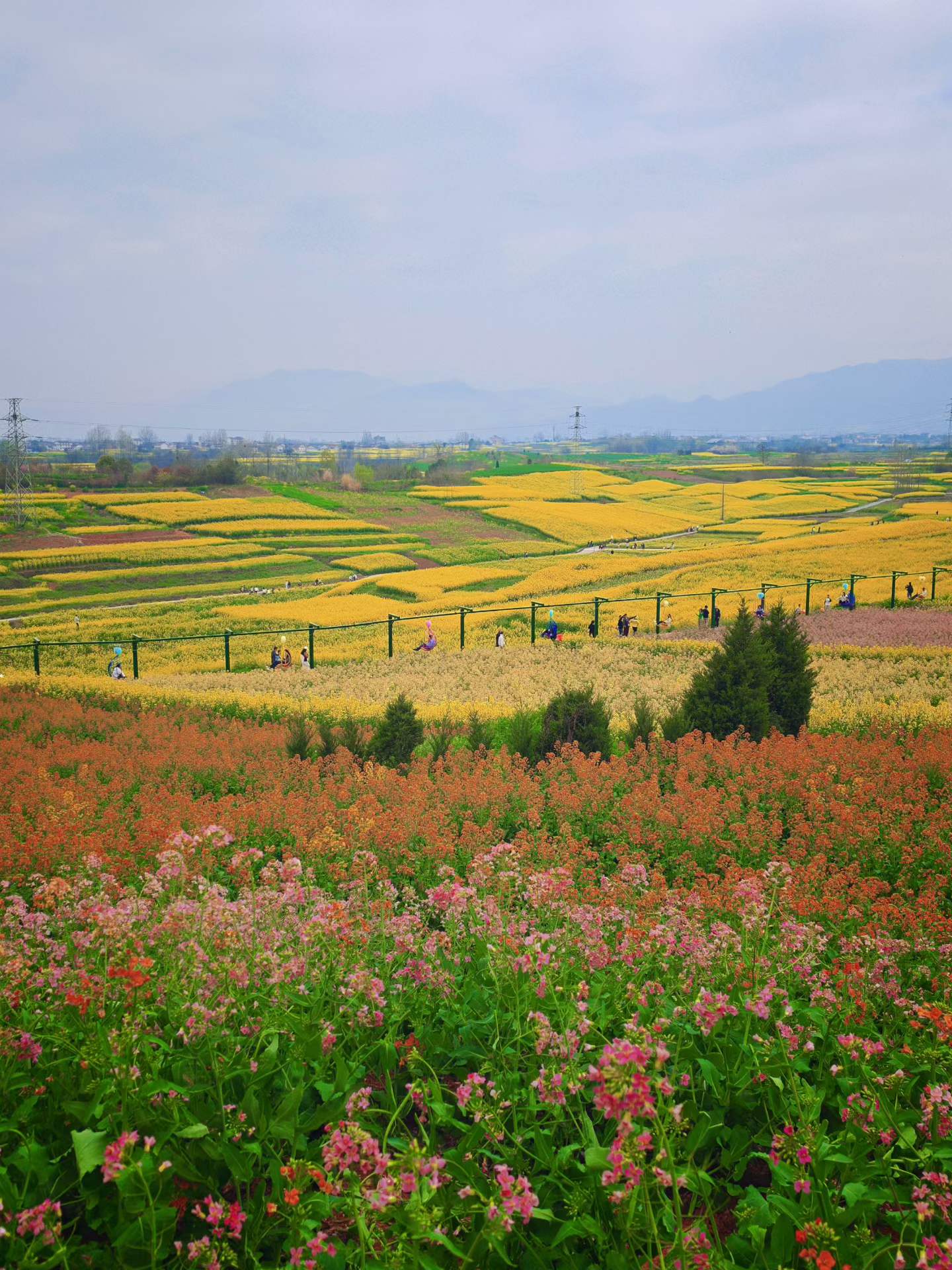 微信图片_2026-03-23_091313_080