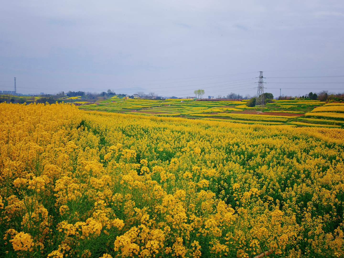 微信图片_2026-03-23_091344_464