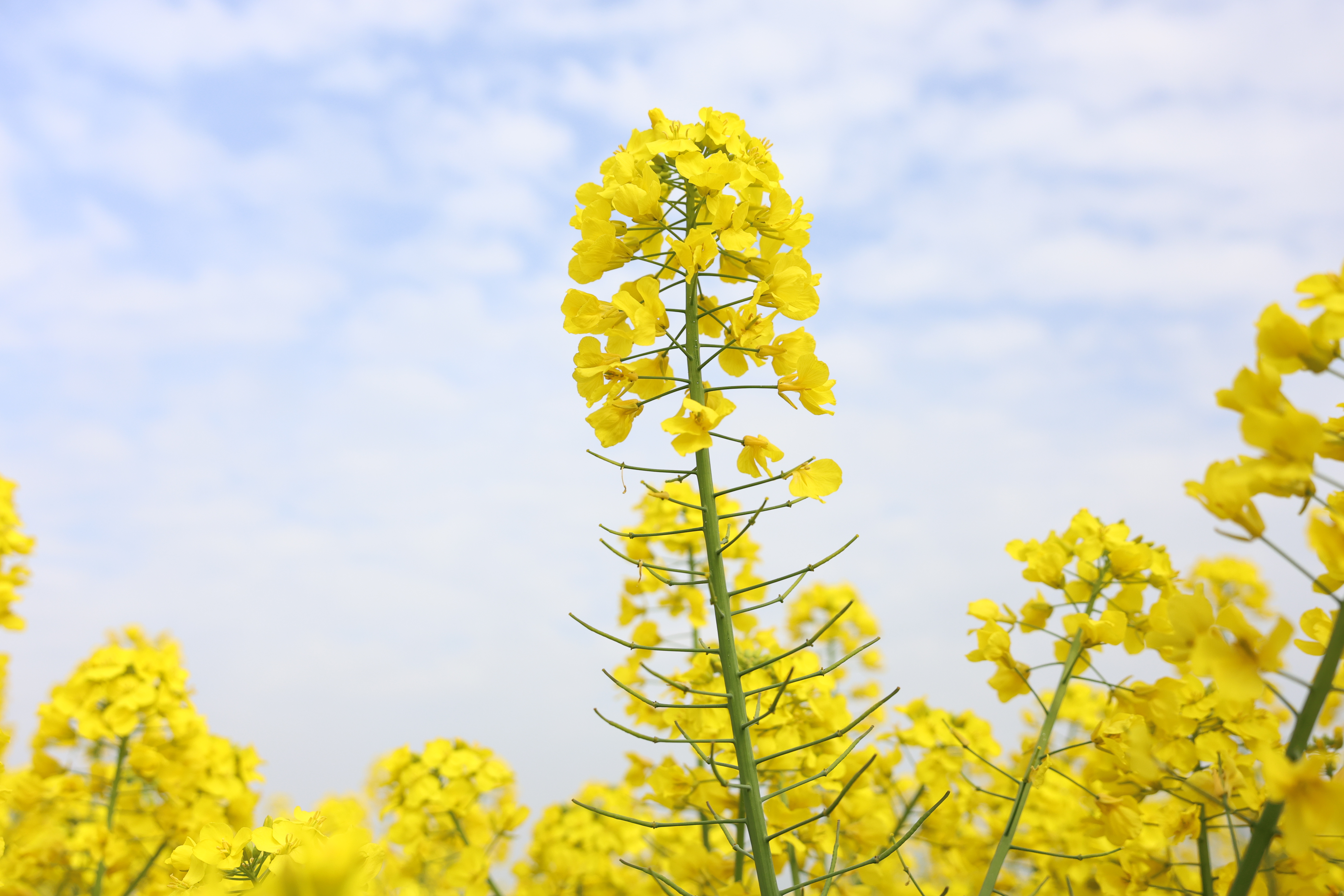 微信图片_20260323120335_100_3465